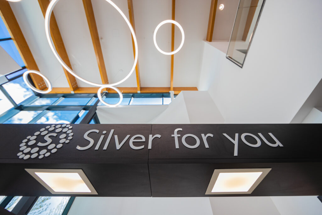 strop trgovackog centra-silver for you-srebrni nakit