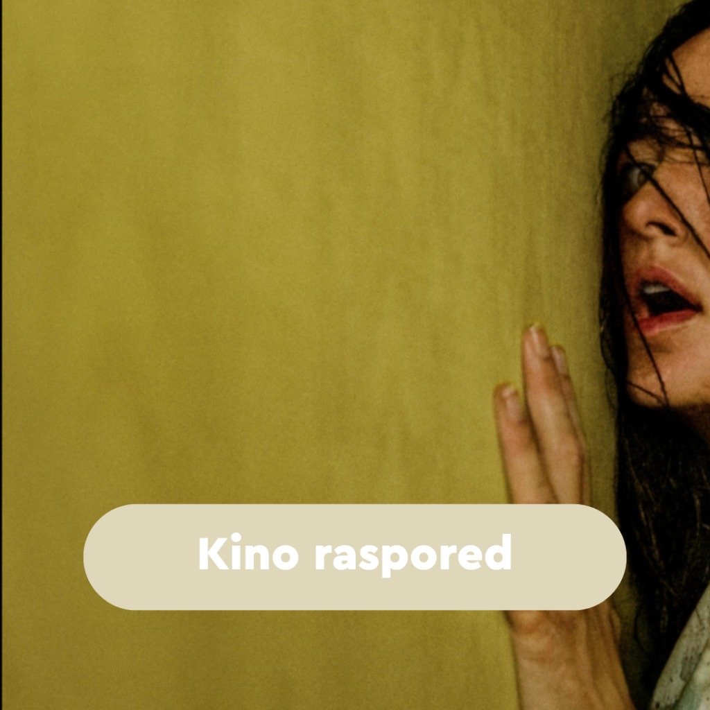 Read more about the article CINE&FUN kino raspored